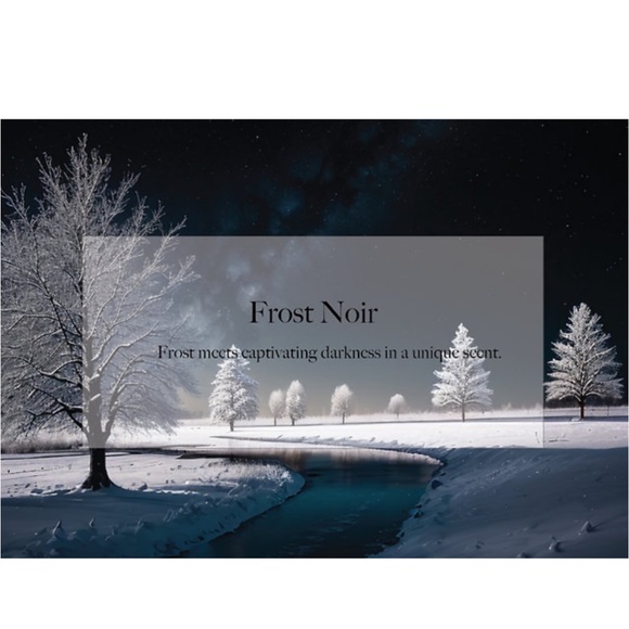 About Car Air Freshener | 24 Count (Pack of 1) | Frost Noir - Picture 3 of 4